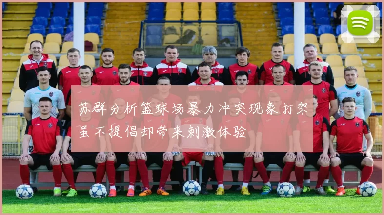 苏群分析篮球场暴力冲突现象打架虽不提倡却带来刺激体验