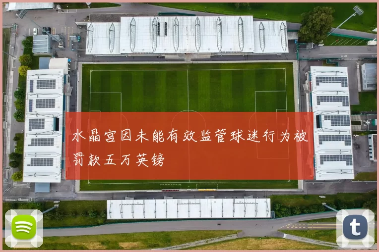 水晶宫因未能有效监管球迷行为被罚款五万英镑